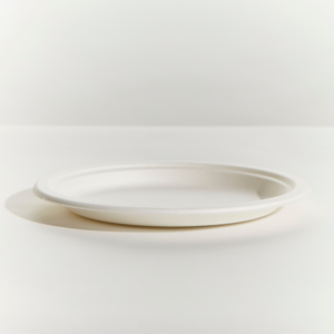 sugarcane round plate