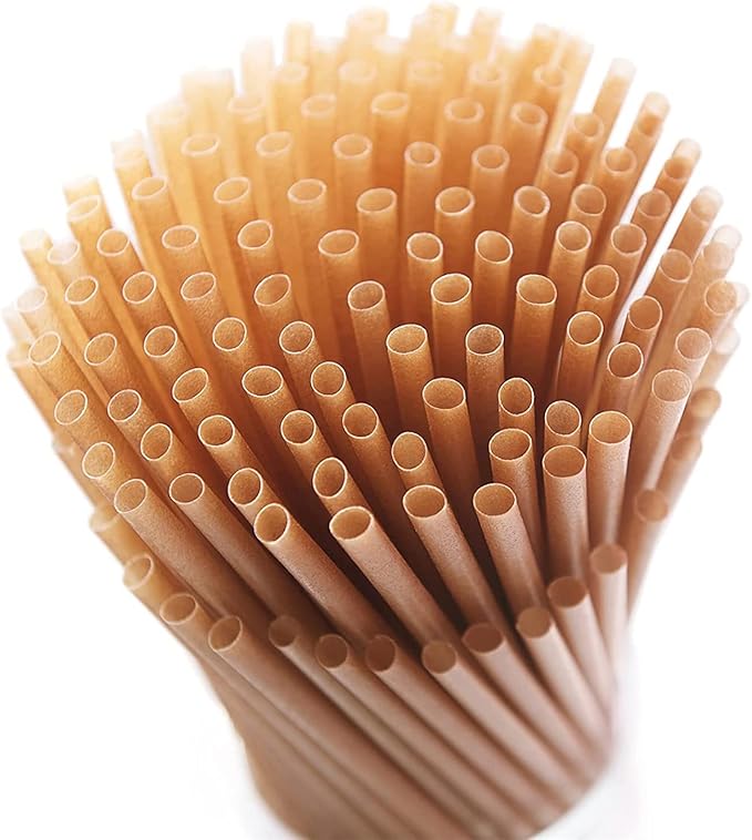 Sugarcane Regular Straws 6mm x 210mm - Eco-Friendly Biodegradable Straws (1000 Pack)