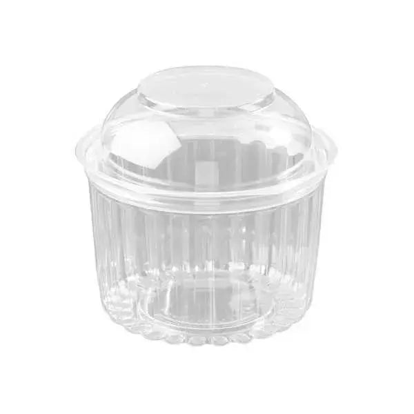 Clear plastic container with hinged lid 
